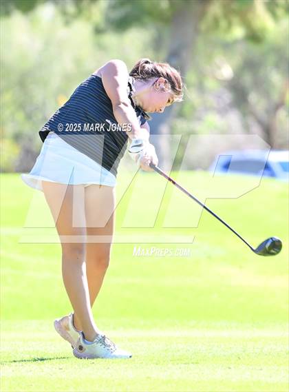Thumbnail 1 in AIA DII Girls State Golf Championships photogallery.