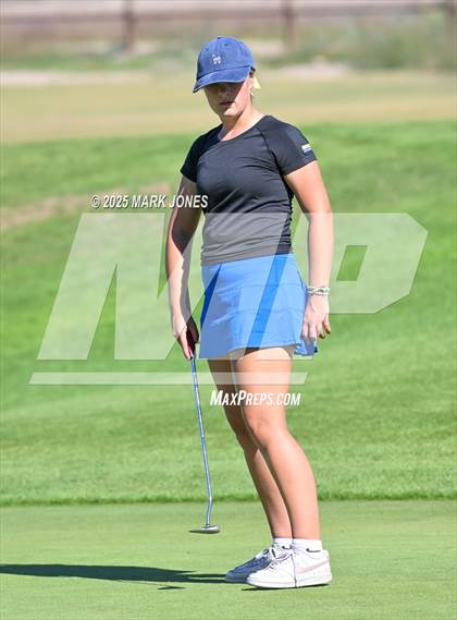 Thumbnail 3 in AIA DII Girls State Golf Championships photogallery.