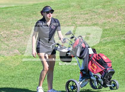 Thumbnail 1 in AIA DII Championships photogallery.