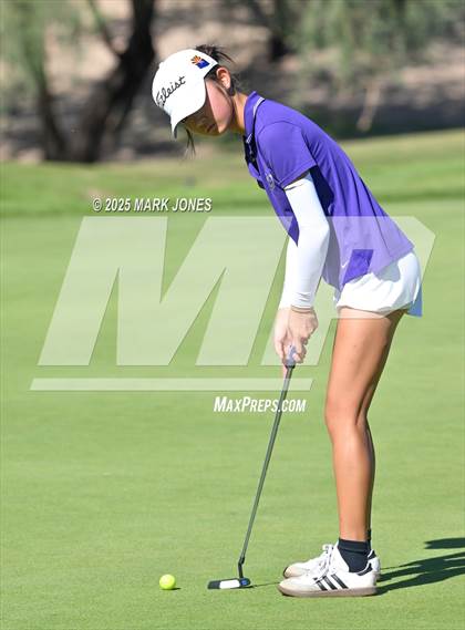 Thumbnail 1 in AIA DII Championships photogallery.