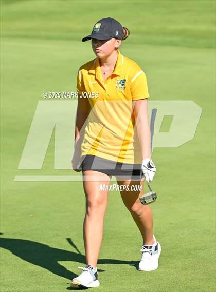 Thumbnail 1 in AIA DII Girls State Golf Championships photogallery.