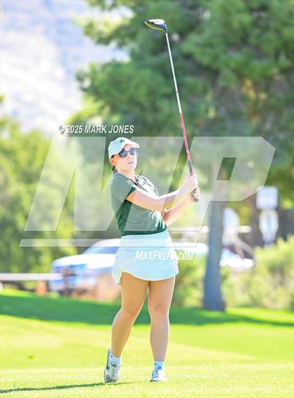 Thumbnail 2 in AIA DII Championships photogallery.