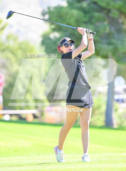 Thumbnail 2 in AIA DII Girls State Golf Championships photogallery.