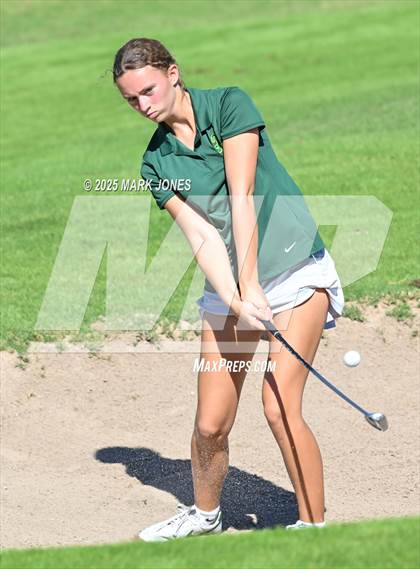 Thumbnail 1 in AIA DII Girls State Golf Championships photogallery.