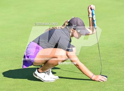 Thumbnail 1 in AIA DII Championships photogallery.