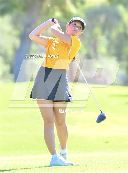 Thumbnail 3 in AIA DII Championships photogallery.