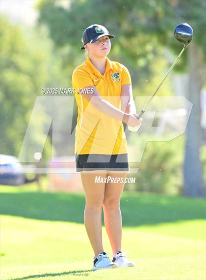 Thumbnail 2 in AIA DII Girls State Golf Championships photogallery.