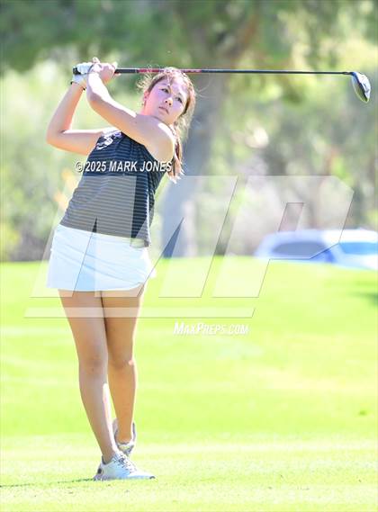Thumbnail 3 in AIA DII Girls State Golf Championships photogallery.