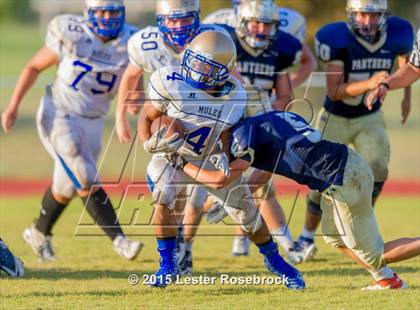 Thumbnail 1 in JV: Alamo Heights vs O'Connor JV photogallery.
