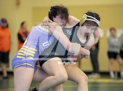 Thumbnail 3 in NBL Finals photogallery.