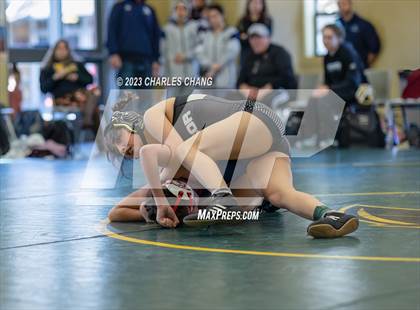 Thumbnail 2 in NBL Finals photogallery.