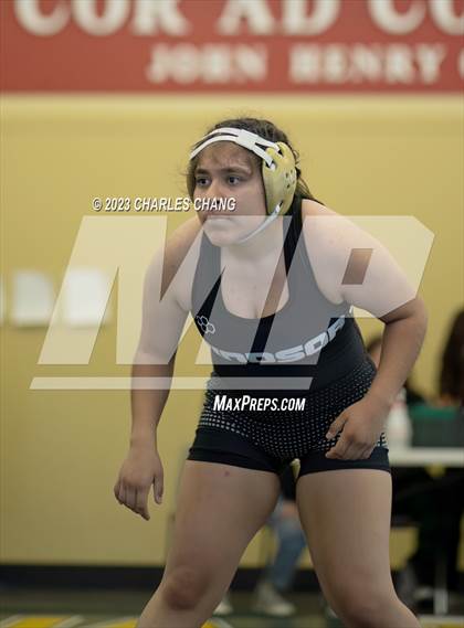 Thumbnail 2 in NBL Finals photogallery.