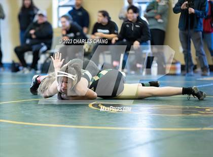 Thumbnail 2 in NBL Finals photogallery.