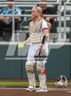 Photo from the gallery "Anahuac @ Huntington"