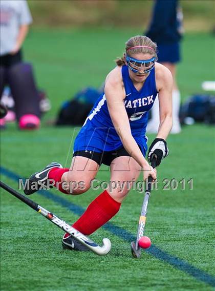 Thumbnail 1 in Natick @ Needham photogallery.