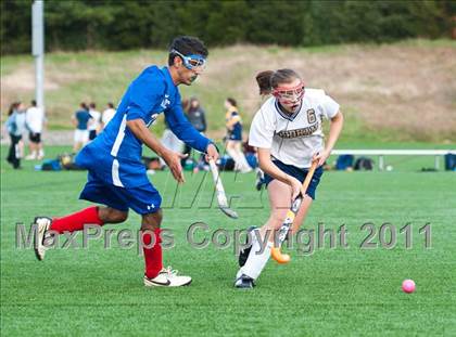 Thumbnail 2 in Natick @ Needham photogallery.