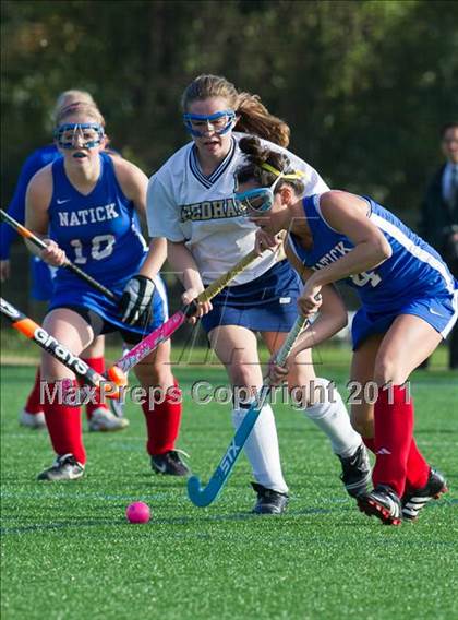 Thumbnail 3 in Natick @ Needham photogallery.