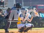 Photo from the gallery "South View vs. Cape Fear (United 8 Athletic Conference Tournament Semifinal)"