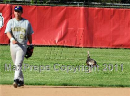 Thumbnail 3 in Hamden @ Fairfield Prep photogallery.
