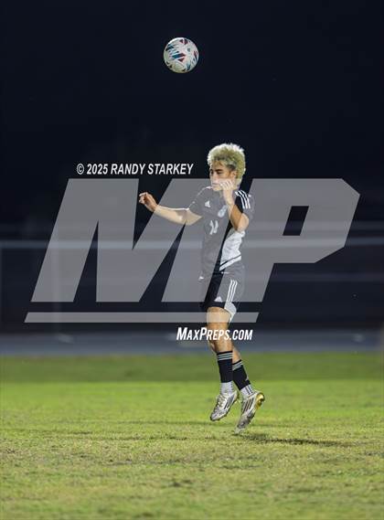 Thumbnail 2 in Bishop Verot @ Mariner photogallery.