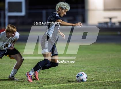 Thumbnail 2 in Bishop Verot @ Mariner photogallery.