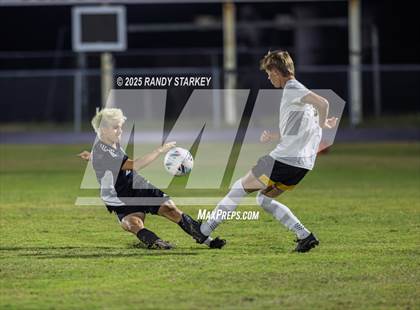 Thumbnail 2 in Bishop Verot @ Mariner photogallery.