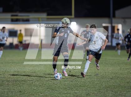 Thumbnail 1 in Bishop Verot @ Mariner photogallery.