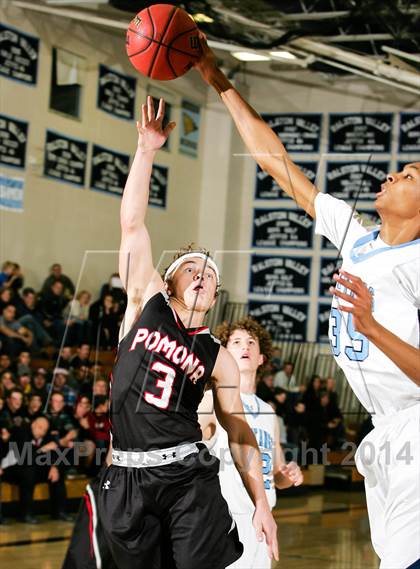 Thumbnail 2 in Pomona @ Ralston Valley photogallery.