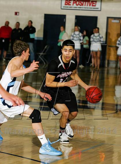 Thumbnail 3 in Pomona @ Ralston Valley photogallery.