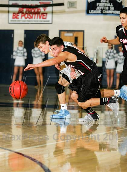 Thumbnail 2 in Pomona @ Ralston Valley photogallery.