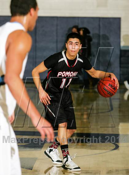 Thumbnail 3 in Pomona @ Ralston Valley photogallery.
