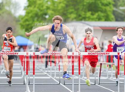 Thumbnail 1 in Bryan Bradley Viking Track Classic (110m Hurdles) photogallery.