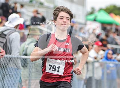 Thumbnail 1 in Bryan Bradley Viking Track Classic (110m Hurdles) photogallery.