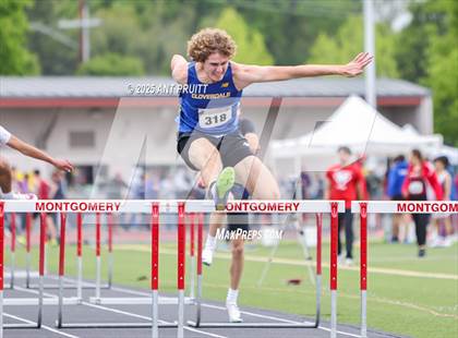 Thumbnail 1 in Bryan Bradley Viking Track Classic (110m Hurdles) photogallery.