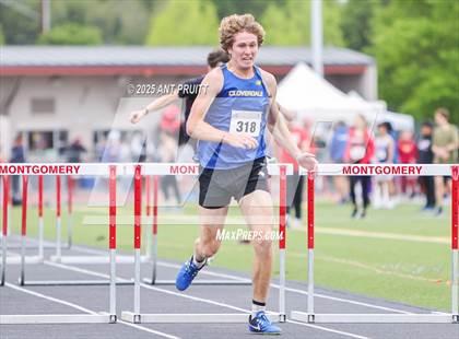 Thumbnail 1 in Bryan Bradley Viking Track Classic (110m Hurdles) photogallery.