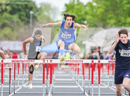 Thumbnail 2 in Bryan Bradley Viking Track Classic (110m Hurdles) photogallery.