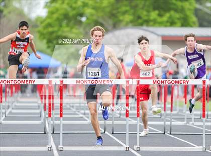 Thumbnail 1 in Bryan Bradley Viking Track Classic (110m Hurdles) photogallery.