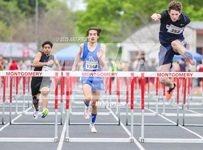 Thumbnail 1 in Bryan Bradley Viking Track Classic (110m Hurdles) photogallery.