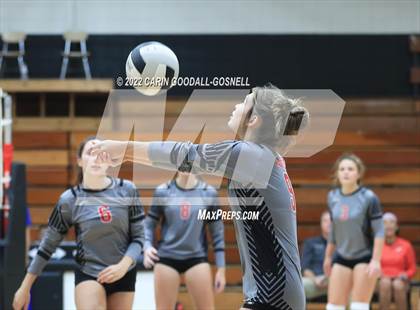 Thumbnail 1 in Jacksonville @ Havelock photogallery.