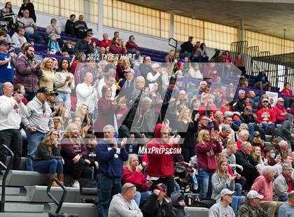 Thumbnail 1 in Brebeuf Jesuit Preparatory vs. Danville (IHSAA 3A Regional Semi-Final) photogallery.