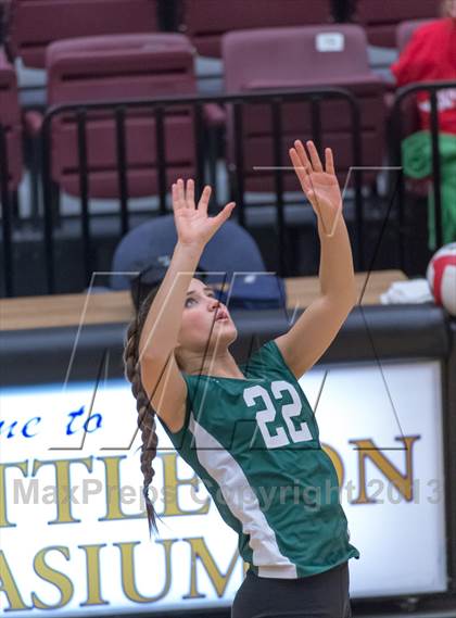 Thumbnail 3 in Reagan [Ronald] vs. Johnson [Claudia Taylor] photogallery.