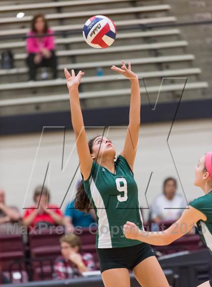 Thumbnail 3 in Reagan [Ronald] vs. Johnson [Claudia Taylor] photogallery.