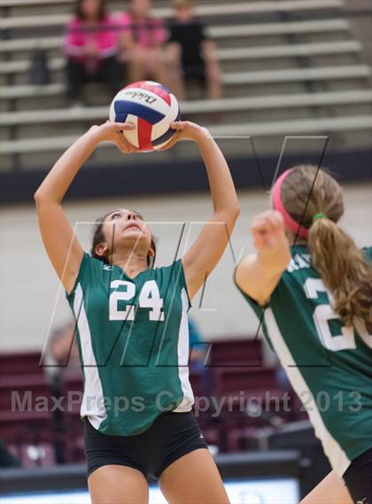 Thumbnail 1 in Reagan [Ronald] vs. Johnson [Claudia Taylor] photogallery.