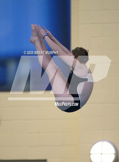 Thumbnail 1 in CHSAA 3A Diving Finals photogallery.