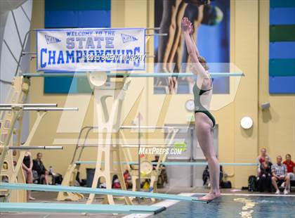 Thumbnail 2 in CHSAA 3A Diving Finals photogallery.