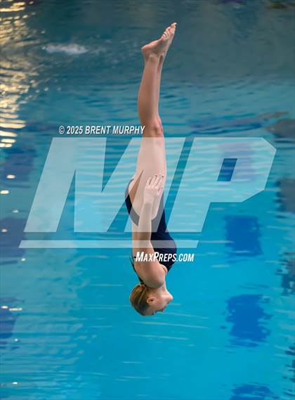Thumbnail 2 in CHSAA 3A Diving Finals photogallery.