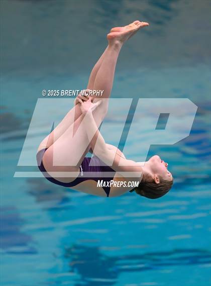 Thumbnail 1 in CHSAA 3A Diving Finals photogallery.