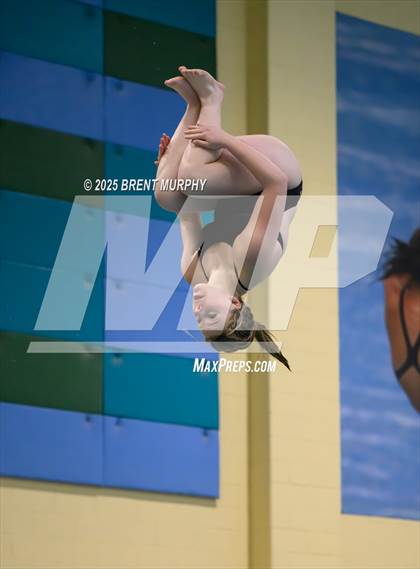 Thumbnail 3 in CHSAA 3A Diving Finals photogallery.