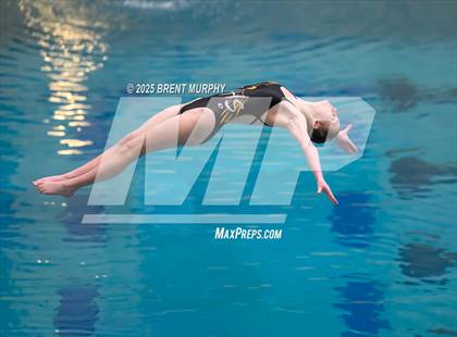 Thumbnail 2 in CHSAA 3A Diving Finals photogallery.