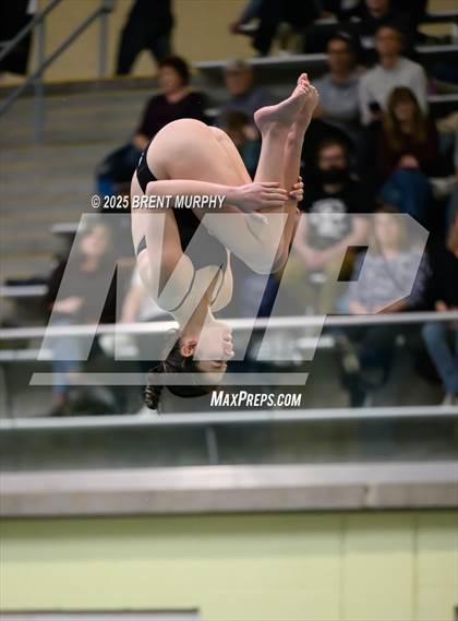 Thumbnail 1 in CHSAA 3A Diving Finals photogallery.